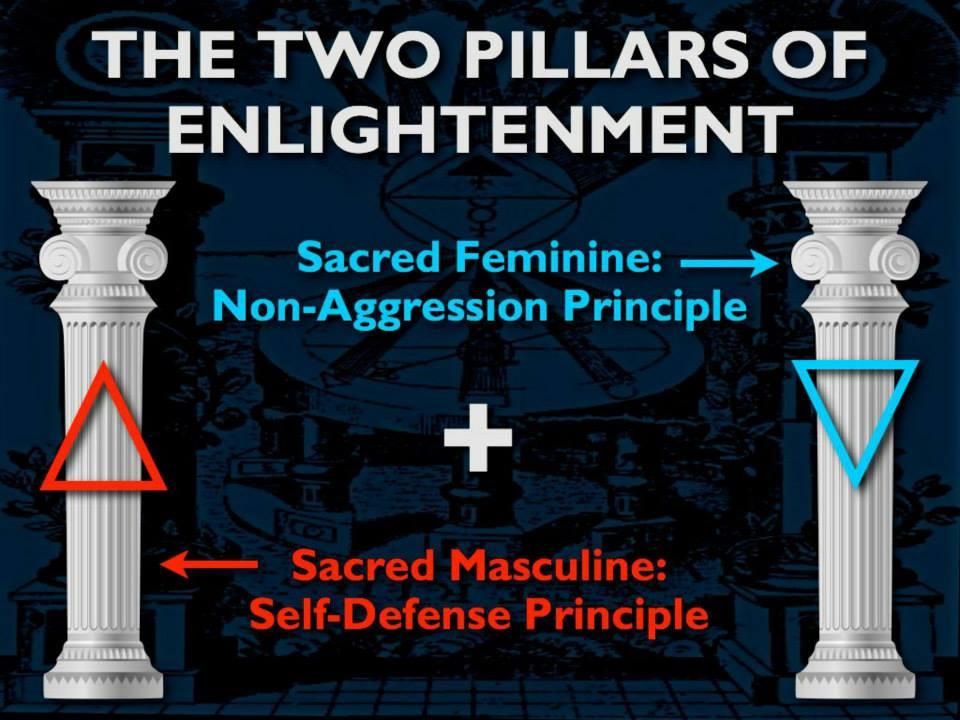 pillars of non-aggression and self-defence